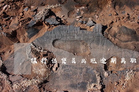 银行信贷员出现逾期离职 银行信贷员出现逾期离职