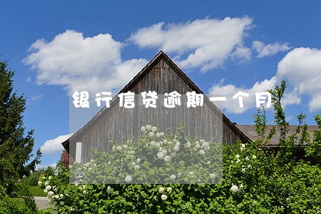 银行信贷逾期一个月 银行信贷逾期一个月