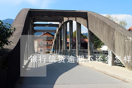 银行信贷逾期不还会怎样 银行信贷逾期不还会怎样