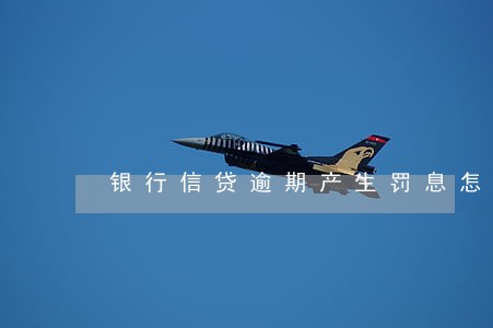 银行信贷逾期产生罚息怎么办