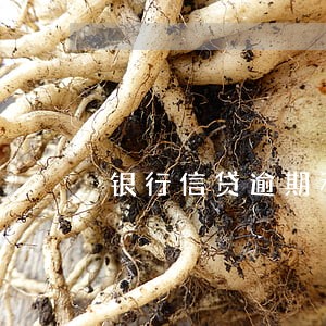 银行信贷逾期利率怎么算