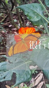 银行信贷逾期工作总结 银行信贷逾期工作总结