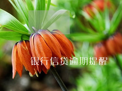 银行信贷逾期提醒 银行信贷逾期提醒
