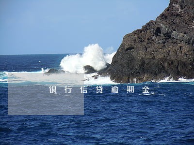 银行信贷逾期金 银行信贷逾期金