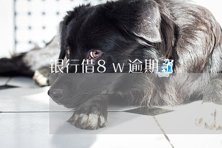 银行借8w逾期了 银行借8w逾期了
