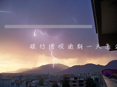 银行借呗逾期一天怎么还不起来呢 银行借呗逾期一天怎么还不起来呢