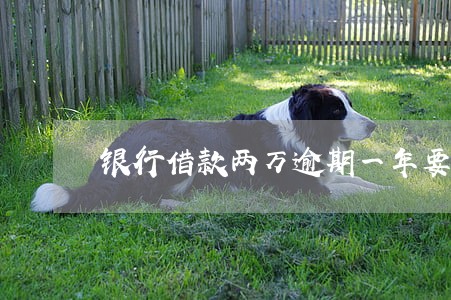 银行借款两万逾期一年要还多少 银行借款两万逾期一年要还多少