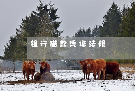 银行借款凭证法规 银行借款凭证法规