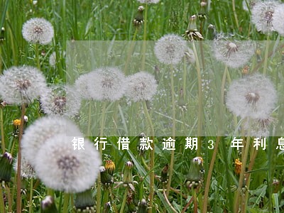银行借款逾期3年利息多少 银行借款逾期3年利息多少
