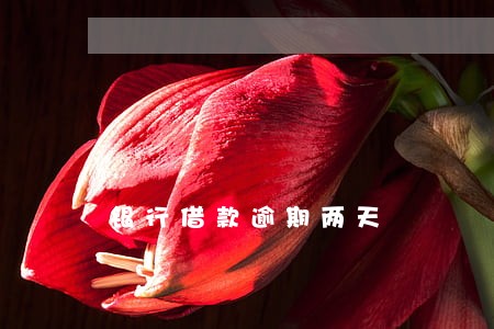 银行借款逾期两天 银行借款逾期两天