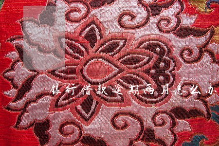银行借款逾期两月怎么办