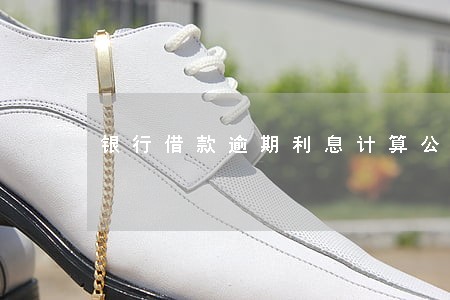 银行借款逾期利息计算公式 银行借款逾期利息计算公式