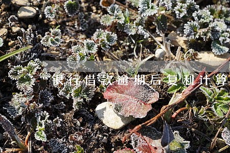 银行借款逾期后复利计算公式 银行借款逾期后复利计算公式