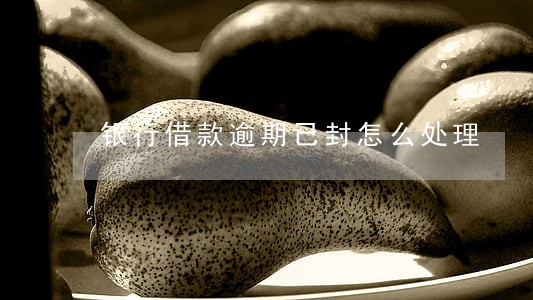银行借款逾期已封怎么处理 银行借款逾期已封怎么处理