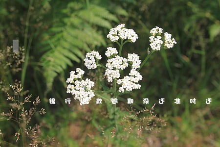 银行借款逾期没还准时还息 银行借款逾期没还准时还息