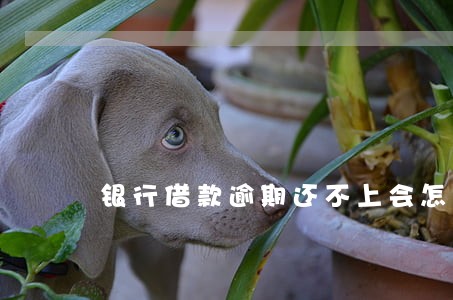 银行借款逾期还不上会怎样 银行借款逾期还不上会怎样