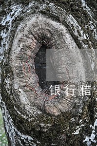 银行借款逾期还需要计提吗