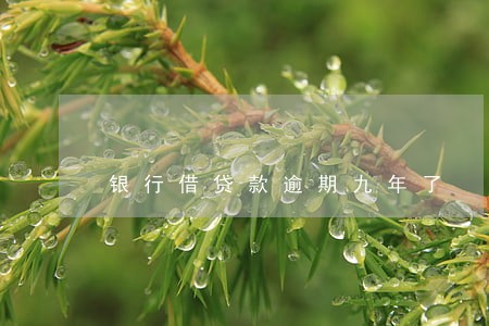 银行借贷款逾期九年了 银行借贷款逾期九年了