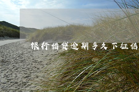 银行借贷逾期多久下征信