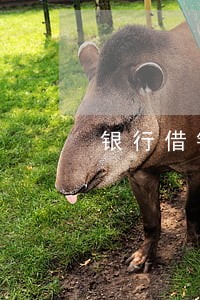 银行借钱逾期 银行借钱逾期
