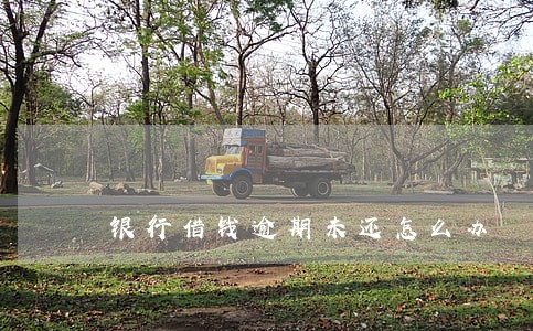 银行借钱逾期未还怎么办 银行借钱逾期未还怎么办