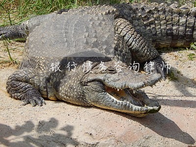 银行债务咨询律师 银行债务咨询律师