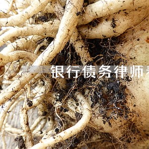 银行债务律师看守所 银行债务律师看守所