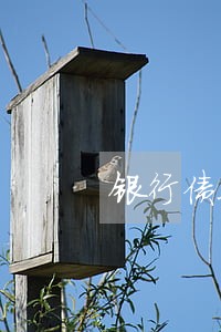 银行债务逾期职位