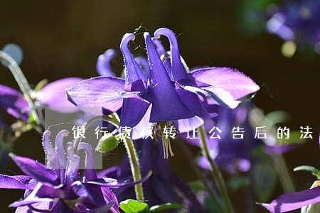 银行债权转让公告后的法律效力 银行债权转让公告后的法律效力