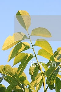 银行债权转让资产公司诉讼主体 银行债权转让资产公司诉讼主体