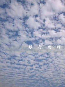 银行债转股法律意见书