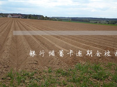 银行储蓄卡逾期会被扣款吗浦发 银行储蓄卡逾期会被扣款吗浦发