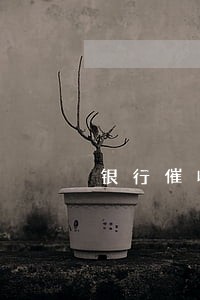 银行催收自家员工逾期欠款报道 银行催收自家员工逾期欠款报道