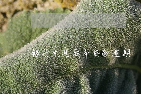 银行先息后本贷款逾期