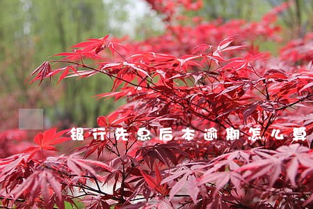 银行先息后本逾期怎么算罚息 银行先息后本逾期怎么算罚息