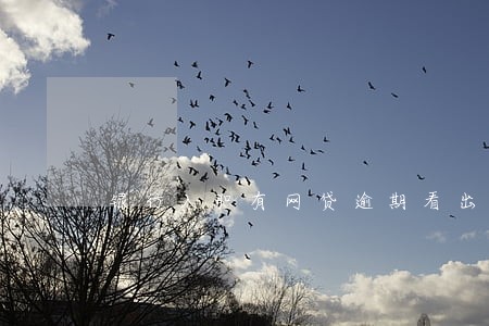 银行入职有网贷逾期看出来么