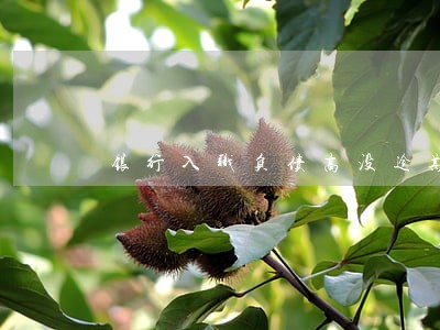 银行入职负债高没逾期 银行入职负债高没逾期