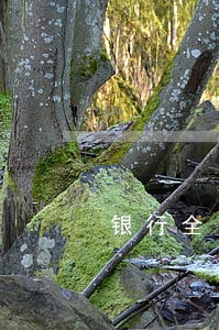 银行全口径逾期考核指标 银行全口径逾期考核指标