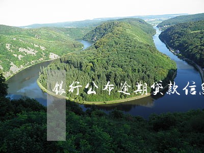 银行公布逾期贷款信息