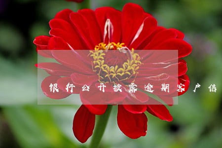 银行公开披露逾期客户信息 银行公开披露逾期客户信息