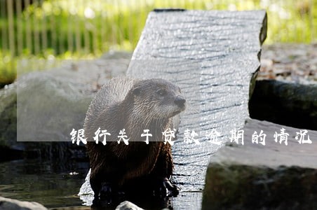 银行关于贷款逾期的情况汇报 银行关于贷款逾期的情况汇报