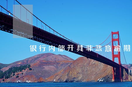 银行内部开具非恶意逾期证明 银行内部开具非恶意逾期证明