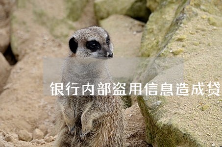 银行内部盗用信息造成贷款逾期 银行内部盗用信息造成贷款逾期