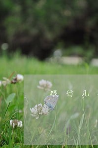 银行几次逾期不能出国 银行几次逾期不能出国