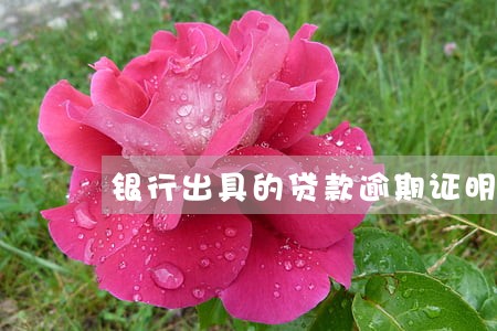 银行出具的贷款逾期证明 银行出具的贷款逾期证明