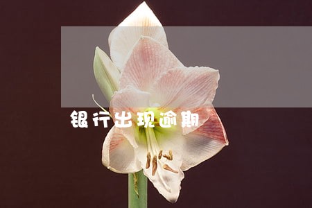 银行出现逾期 银行出现逾期