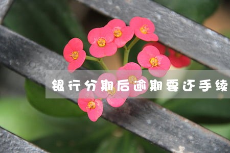 银行分期后逾期要还手续费 银行分期后逾期要还手续费
