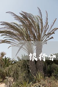 银行分期逾期半年怎么办 银行分期逾期半年怎么办