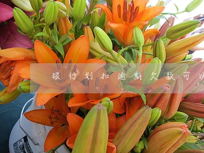 银行划扣逾期欠款可以返还吗 银行划扣逾期欠款可以返还吗
