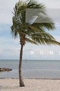 银行利息少交算逾期吗 银行利息少交算逾期吗